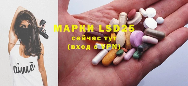 гидра Осинники