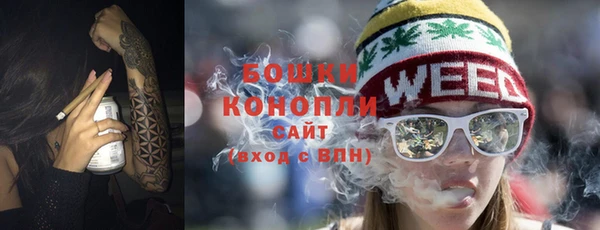 гидра Осинники