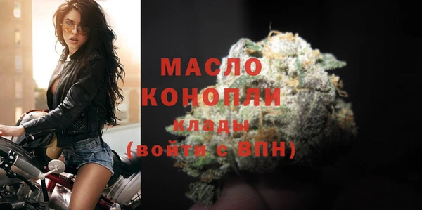 гидра Осинники