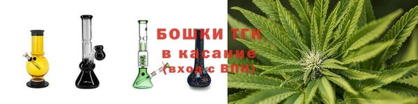 гидра Осинники