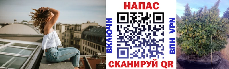 Канабис Ganja  Спас-Клепики 